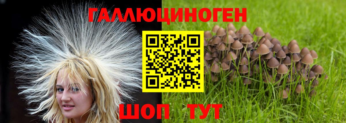 Галлюциногенные грибы GOLDEN TEACHER Россия