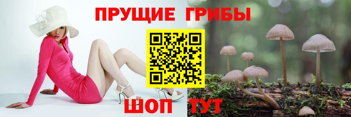 Галлюциногенные грибы мухоморы  Галлюциногенные грибы GOLDEN TEACHER  Россия  Вход с VPN 